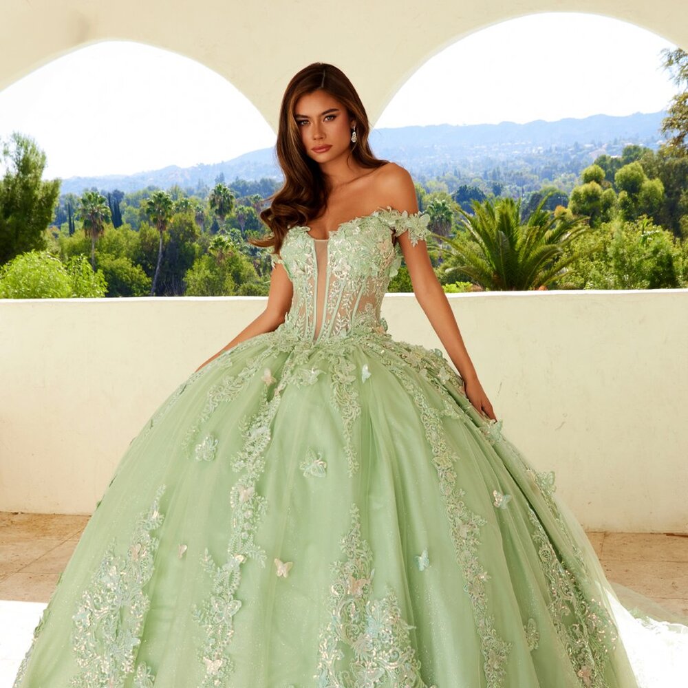 New Ceremonial Long Quinceanera Gown w/ Floral Applique & Long Train JT1485J - Picture 4 of 9